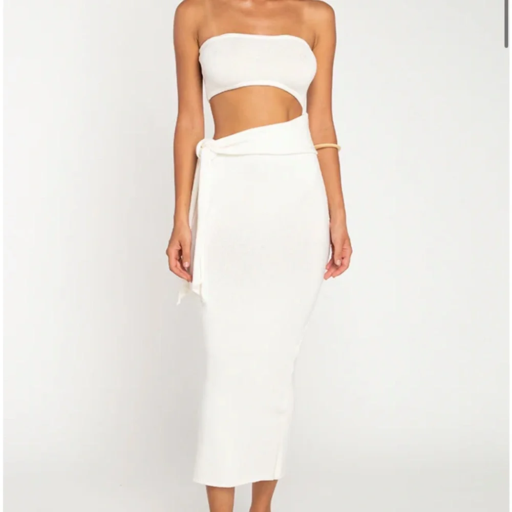 Pampelone Kimee Dress NWT size Large - Picture 5 of 10